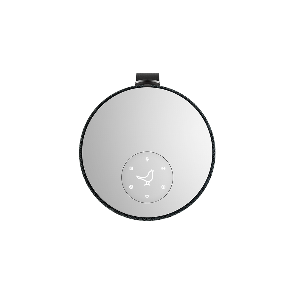 ZIPP 2. Wireless smart Bluetooth speaker