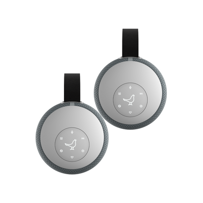 ZIPP MINI2 Bundle - Double the Sound